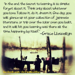 This is what unschooling is all about