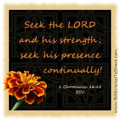 Seek The Lord And His Strength Bible God Quotes