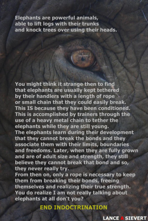 The Elephant Indoctrination