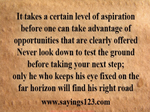 It takes a certain level of aspiration | Sayings 123