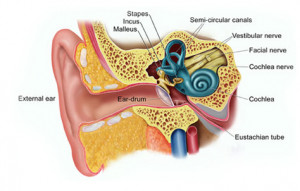 Funny Quotes Contact Us DMCA Notice