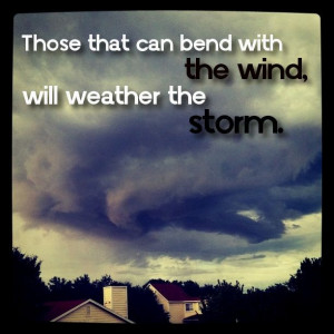 Those that can bend with the wind, will weather the storm.