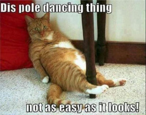 Dis pole dancing thing not as easy as it looks