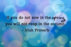 Wise Quote: If you do not sow in the...
