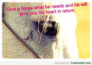 Horse quotes a...
