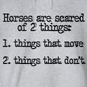 Horse Sayings That You Can Only Say In A Horse Barn: