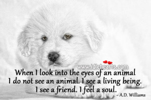 When I look into the eyes of an animal I do not see an animal. I see a ...