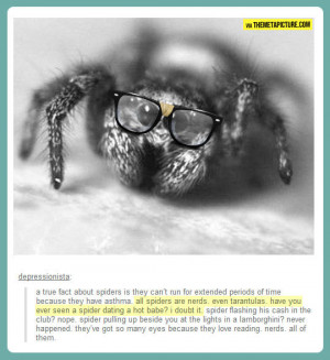 Something you didn’t know about spiders…