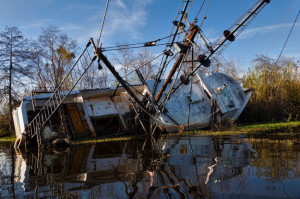 Hurricane Katrina Quotes