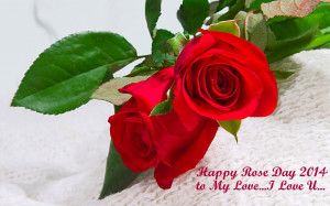 Love You Rose Quotes wallpaper