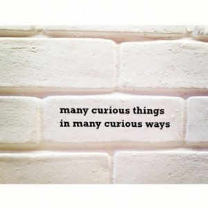 Curiosity kills the cat. #quotes