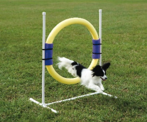 PetSafe Agility Training Backyard Ring Set Jump