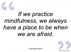 ... mindfulness | If we practice mindfulness - Thich Nhat Hanh - Quotes