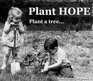 Plant a Tree Plant a Hope