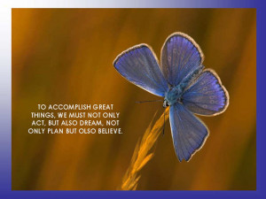 Beauty Quotes Grzphics