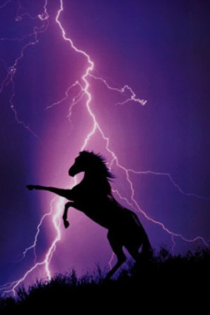 Pictures of horses and lightning pictures 2