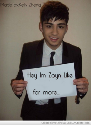 Zayn Funny Quotes