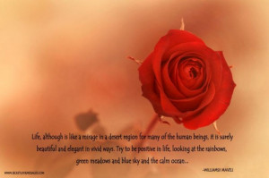 Like a mirage in a desert