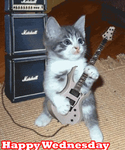 Myspace Graphics > Wednesday > happy wednesday cat guitar Graphic