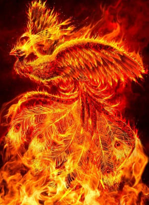 phoenix mythology a phoenix or phenix greek φοῖνιξ phoinix is