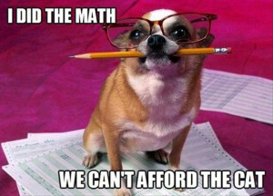 funny dogs does the math, no cats