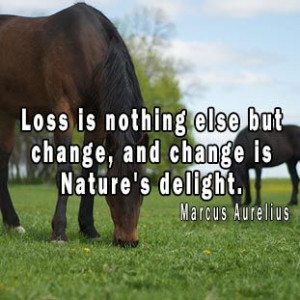 ... else but change, and change is Nature's delight. Marcus Aurelius