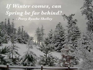 please enjoy these best winter quotes and sayings