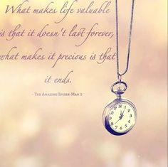 The Amazing Spider-Man 2 More