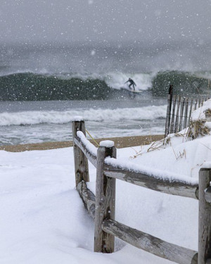 Ron Schiller Point, Endless Summer, Jersey Shore, Photographers Ron ...