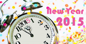 Career Action Plan –2015 New Year’s Resolutions