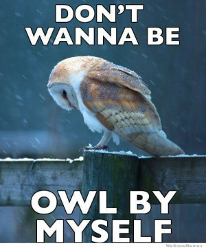 Don’t wanna be – owl by myself – meme