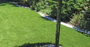 Lawn Grass Quotes