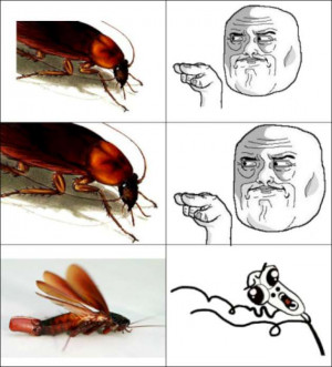 Funny Cockroach Compilation (12 Pics)