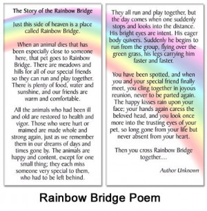 Download Rainbow Bridge Poem When You Lose Your Pet Cancer
