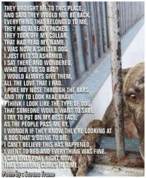 heartbreaking :( so sad Bella Picollini needs a friend, I am ready for ...