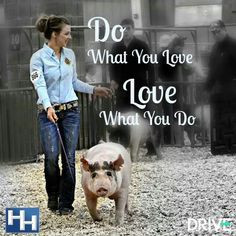 livestock quotes pixel pigs show quotes show pigs quotes pigs ...