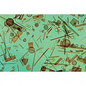 Frans Lanting 39 s Life Book