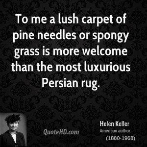 To me a lush carpet of pine needles or spongy grass is more welcome ...