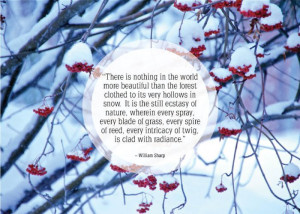 Happy Quotes About Snow