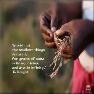 Quote from E. Knight #environment