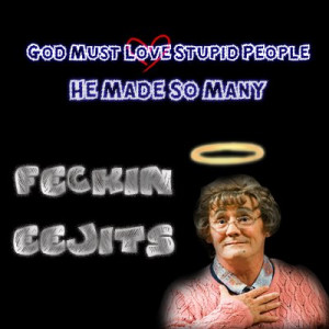 mrs browns boys quotes