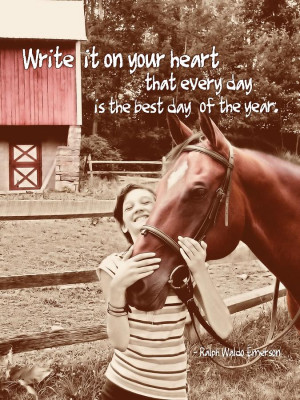 Horse Quotes For Instagram Horse crazy quote photograph