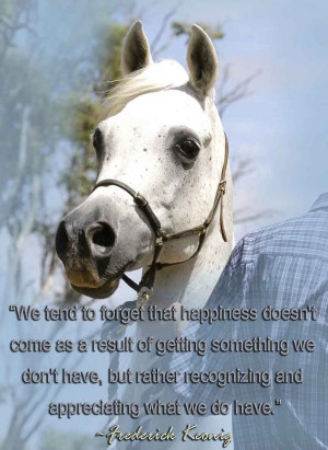 Horse Quotes About Friendship Sunday quote of the week.