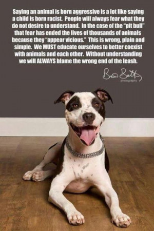 Currently the most maligned breed is the pit bull or American ...