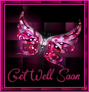 Get Well Purple Pink Butterfly Tag Code: