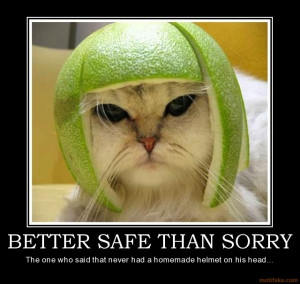 better-safe-than-sorry-better-safe-than-sorry-cat-helmet ...