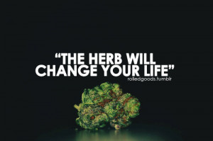 Weed Quotes Quotes · by kei green