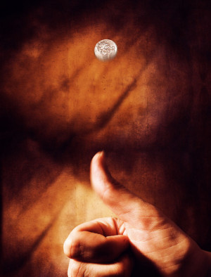 高清精美抛硬币男人图片素材170-男性女性图库