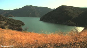 Called Grassland Funny That