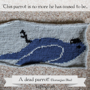 knitted but dead parrot (Norwegian Blue). He has ceased to be.